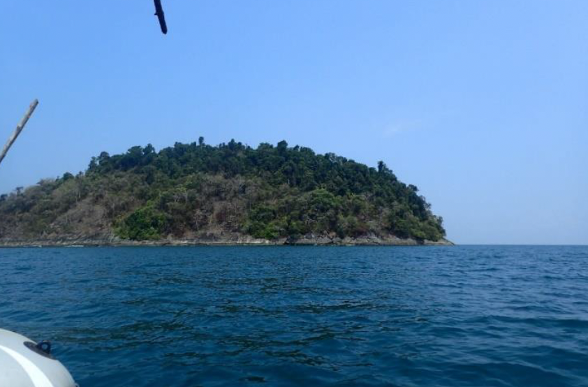 Photo of the ecosystem Tanintharyi island rainforest